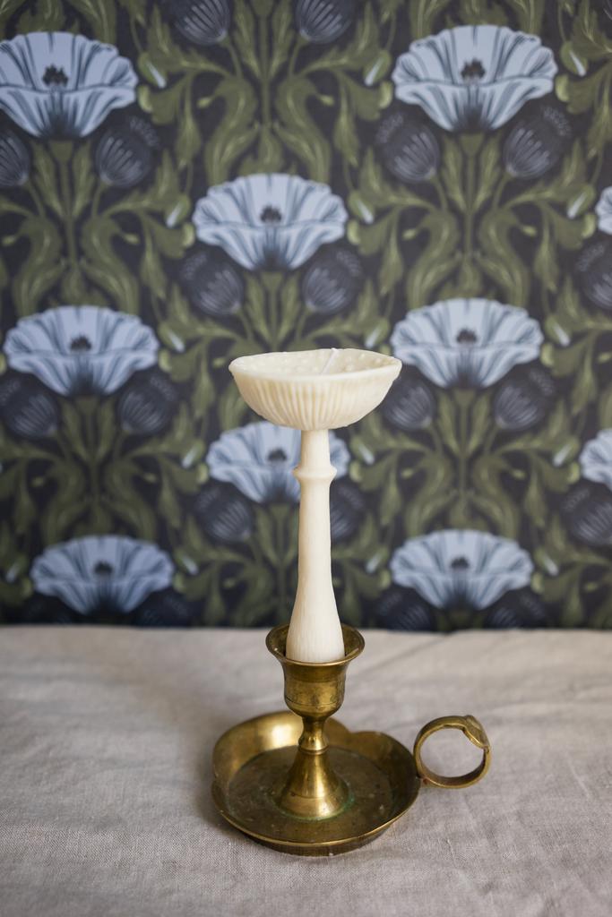 Гриб Мухомор перезрелый белого цвета Unification Love