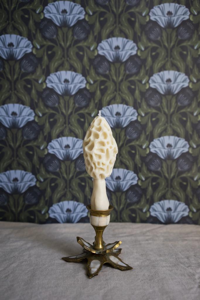 Гриб Сморчок белого цвета Unification Love