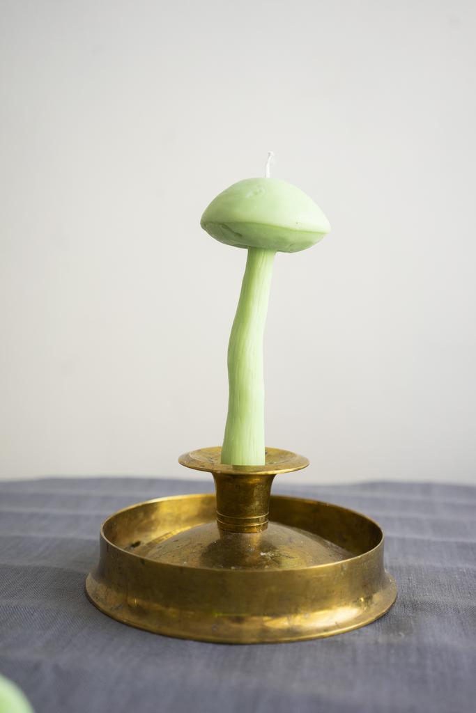 Гриб Подберезовик салатового цвета Unification Love