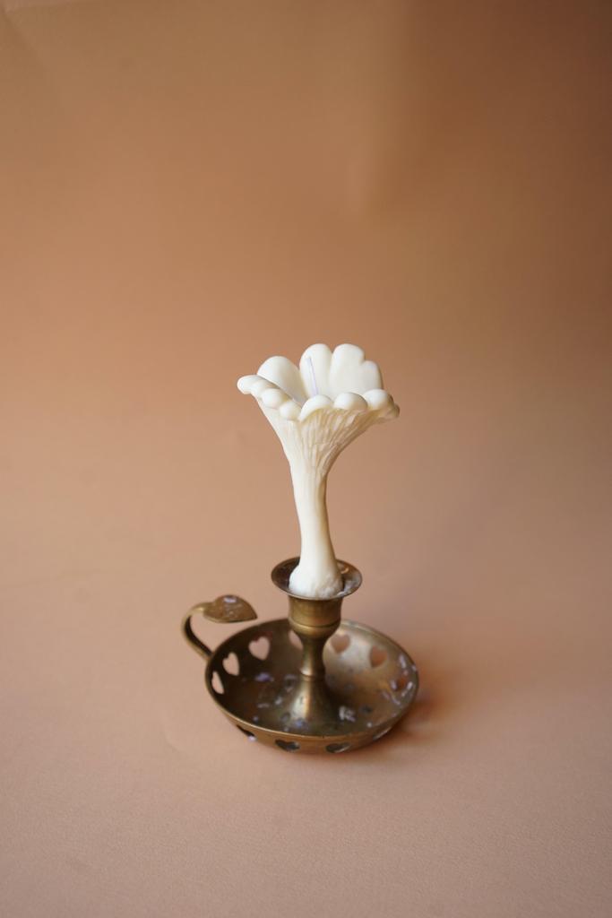 Гриб Лисичка белого цвета Unification Love