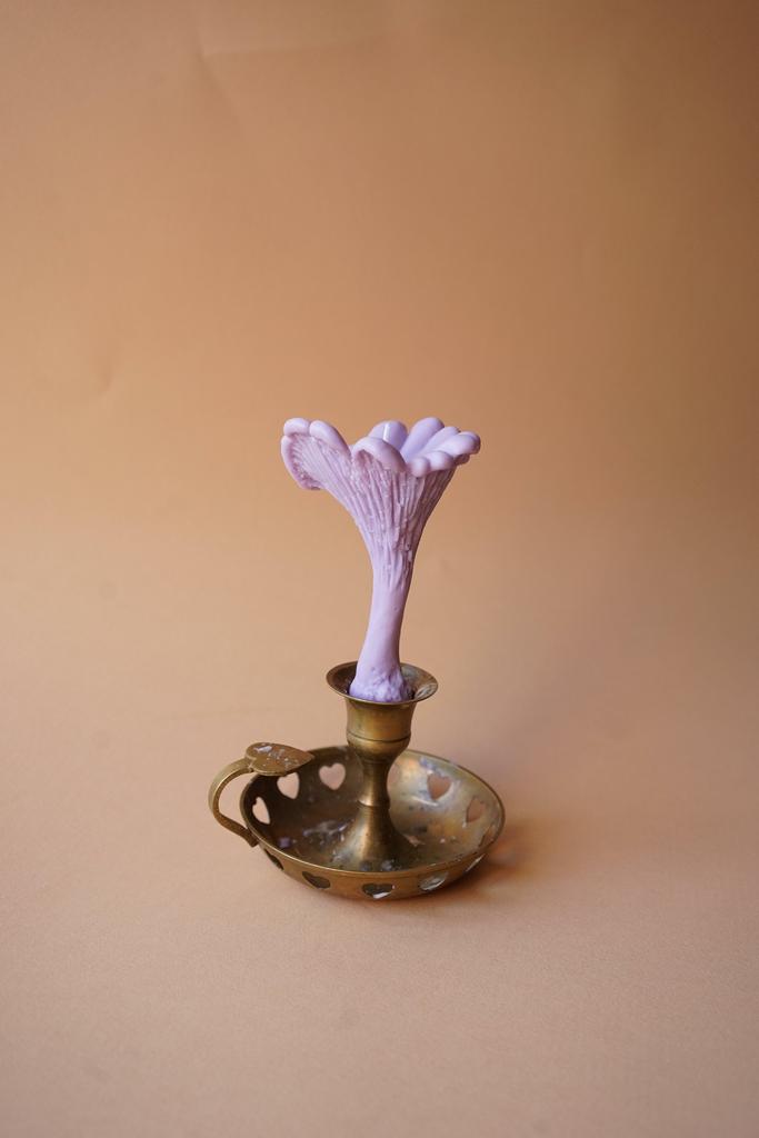 Гриб Лисичка лилового цвета Unification Love