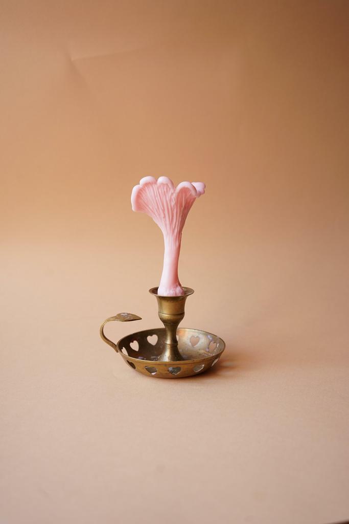 Гриб Лисичка розового цвета Unification Love