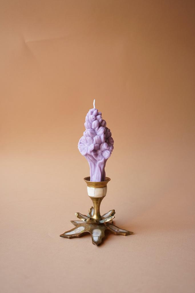 Цветок малый лилового цвета Unification Love