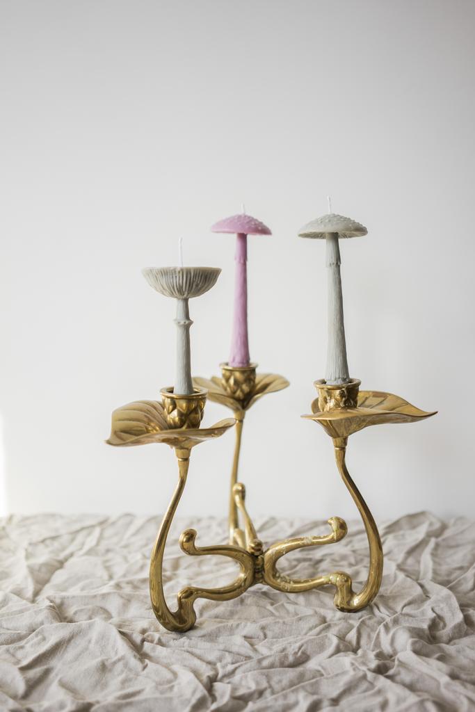 Гриб Мухомор зрелый серого цвета Unification Love