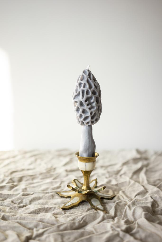 Гриб Сморчок серого цвета Unification Love