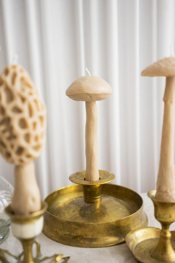 Гриб Подберезовик цвета охра Unification Love