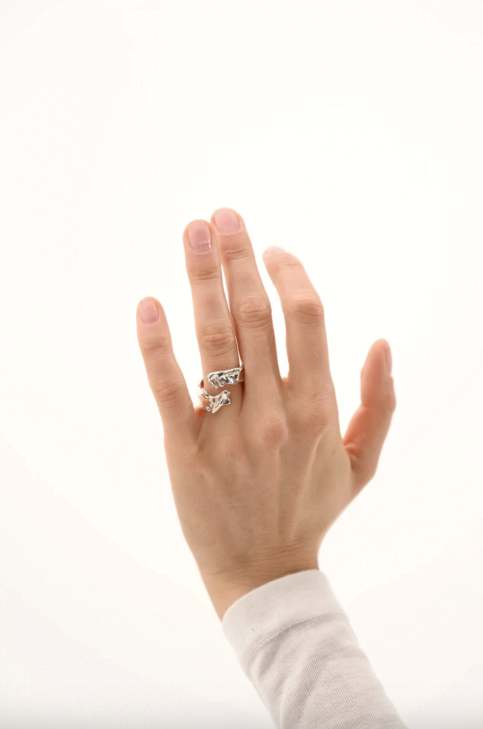 Flowing ring The Object