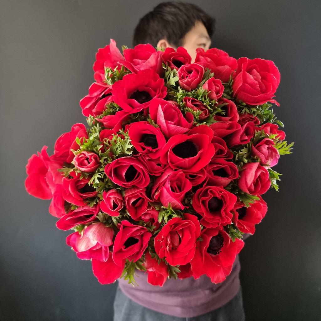 анемоны красные