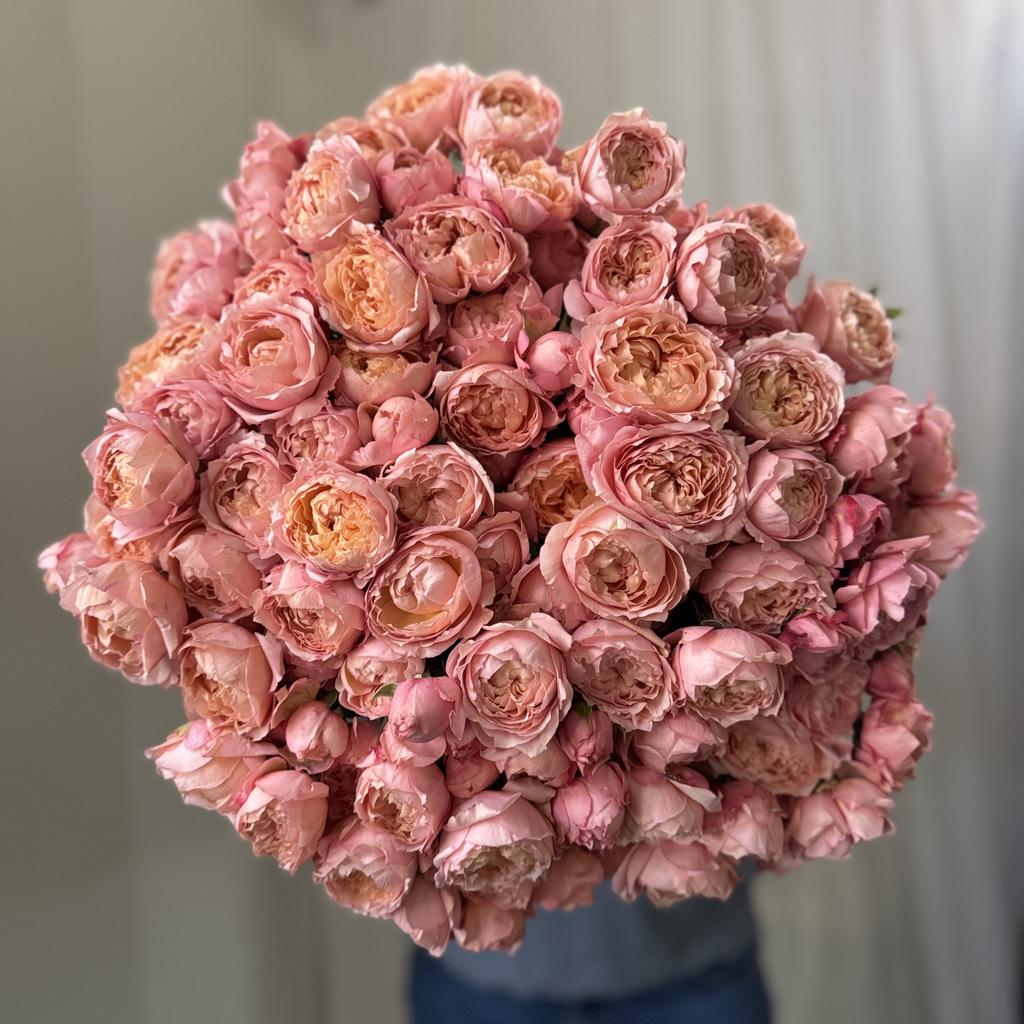 МОНО КУСТОВАЯ ДЖУЛЬЕТТА