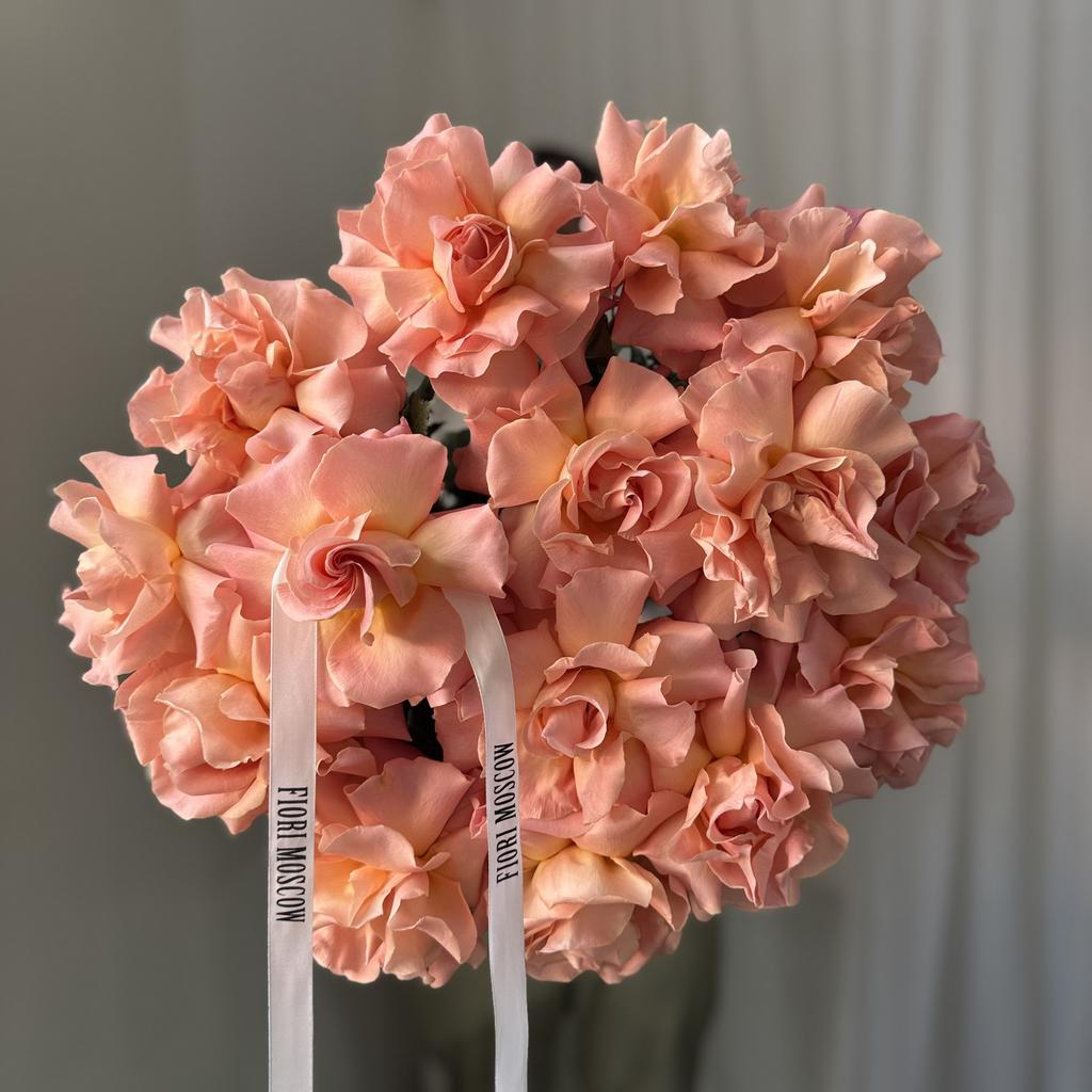 РОЗА ХЕРМОЗА