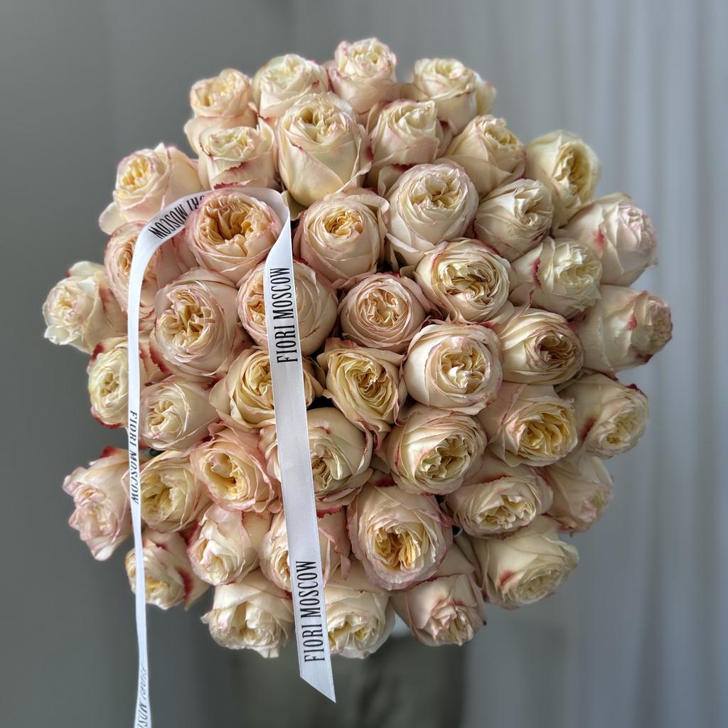 Роза пионовидная Крем Экспрешен