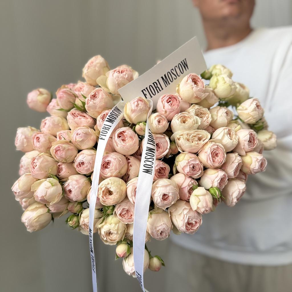 Роза кустова минсфилд парк