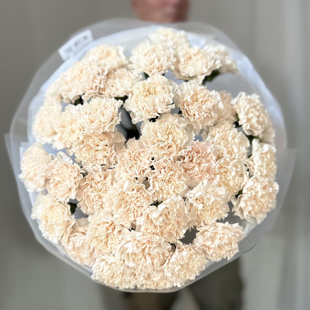 моно гвоздики кремовые одноголовые