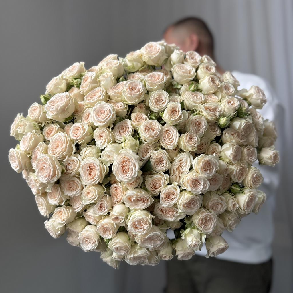 роза кустовая моно кремовая