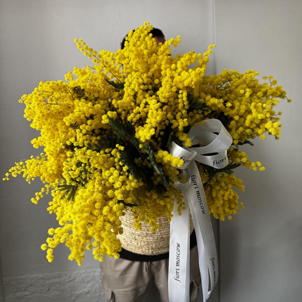 корзина моно мимоза