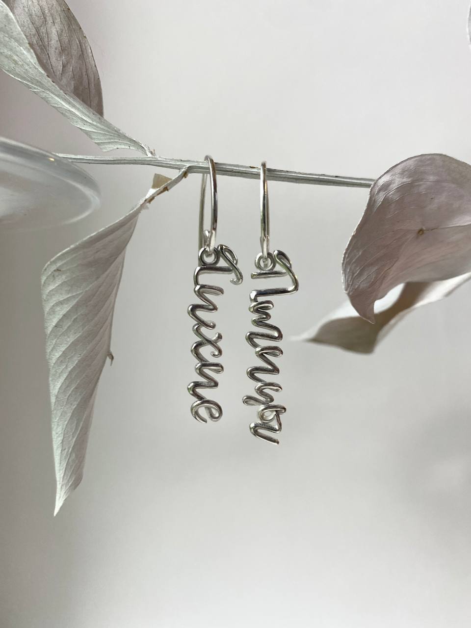 Тихие птицы