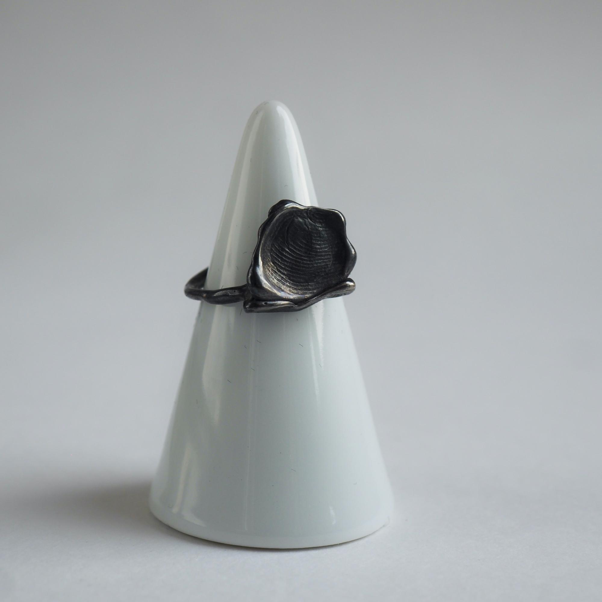 кольцо отпечаток