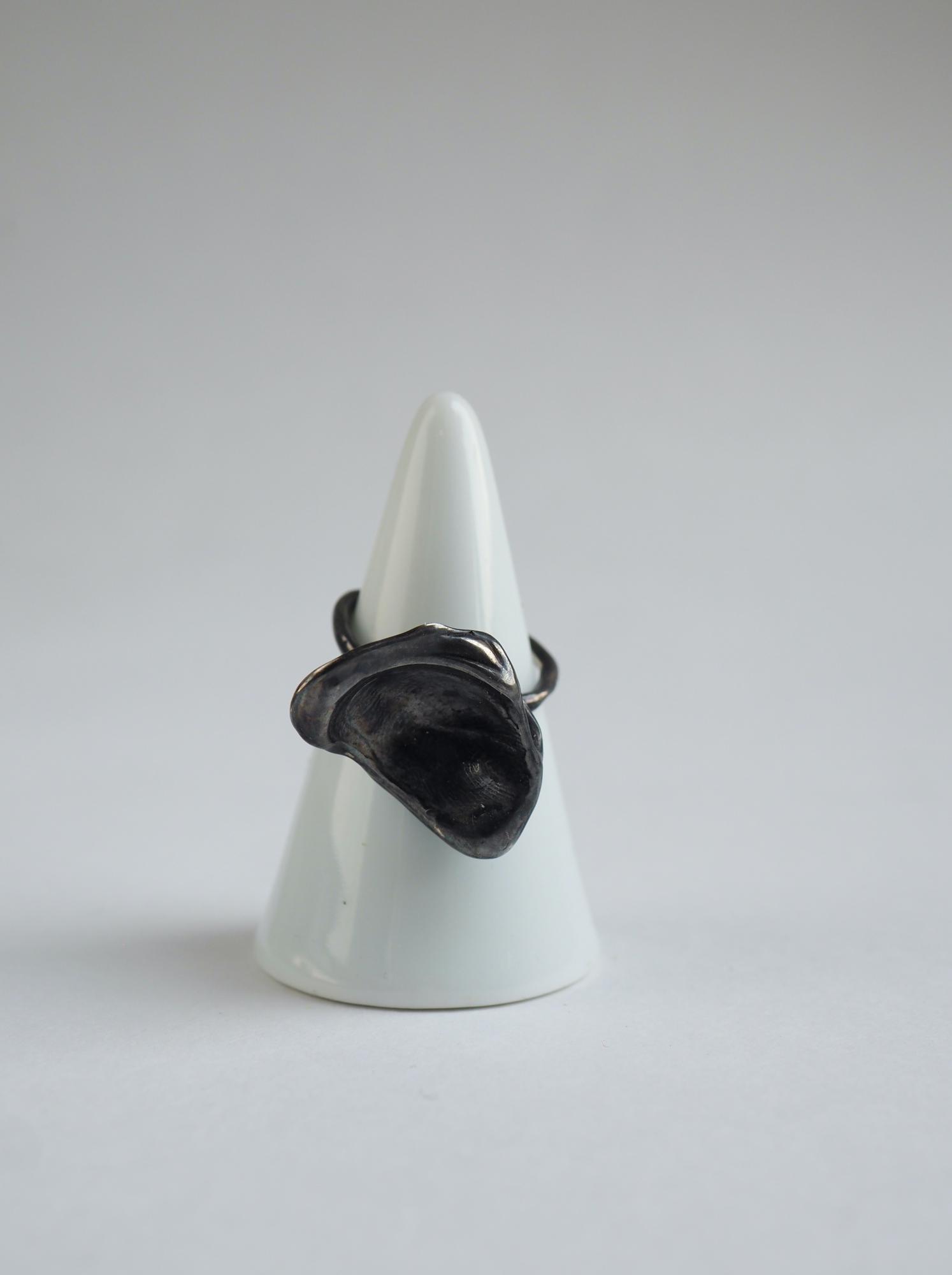 кольцо отпечаток