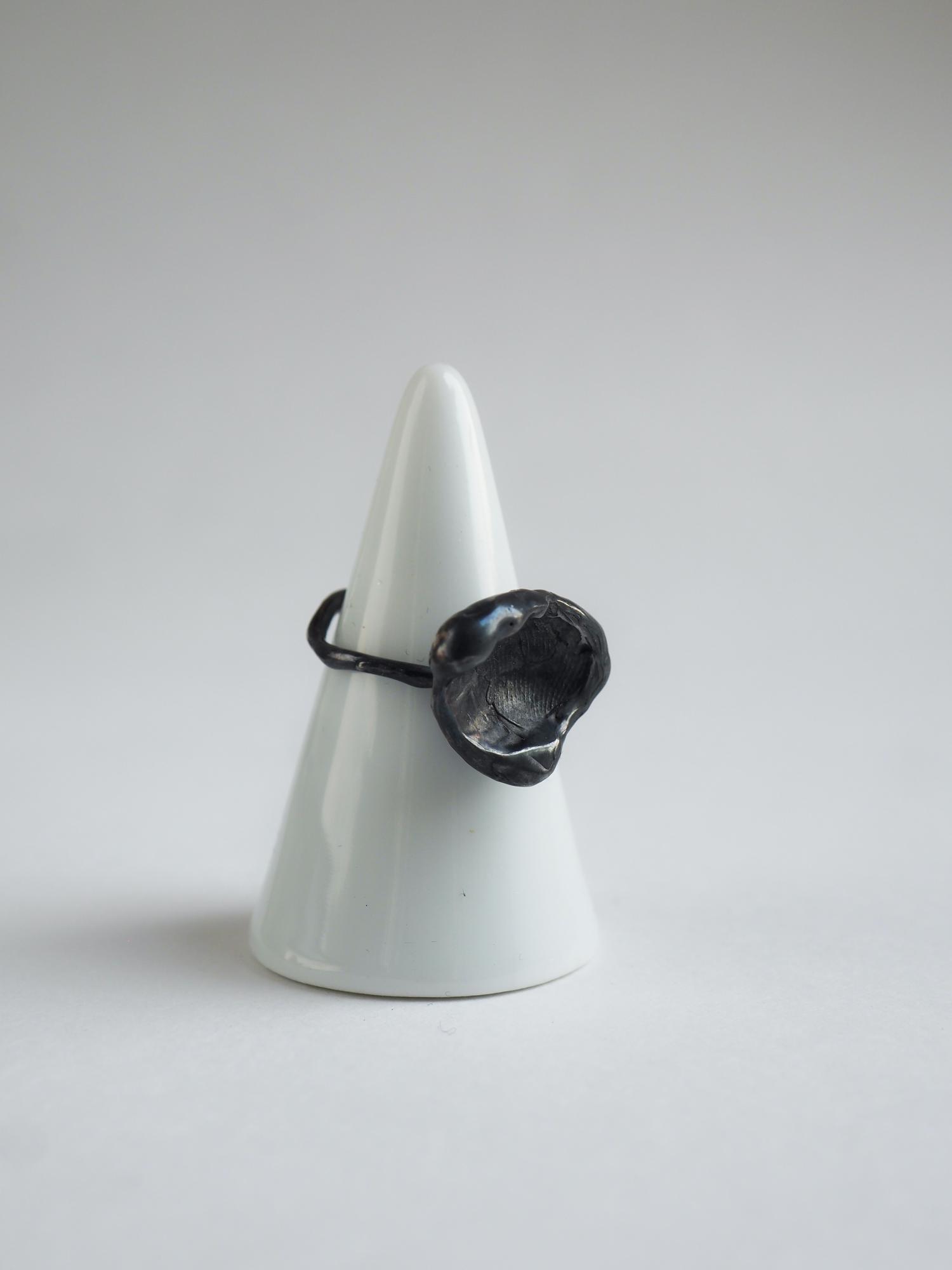 кольцо отпечаток