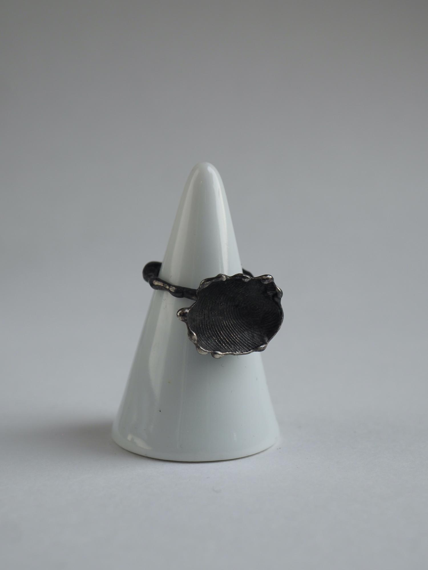 кольцо отпечаток