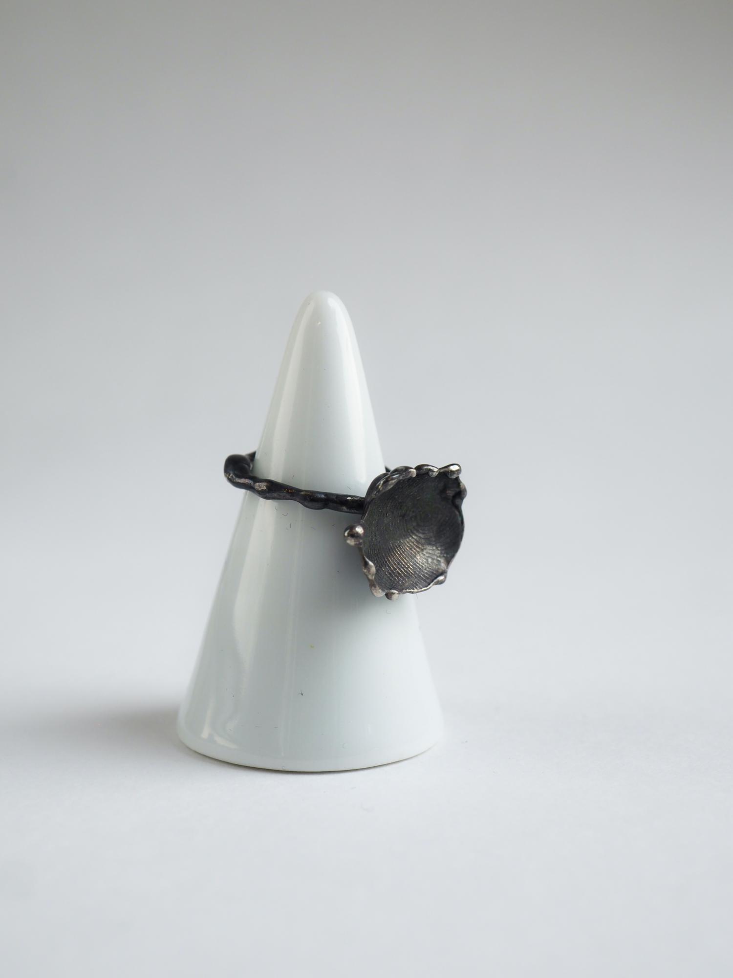 кольцо отпечаток