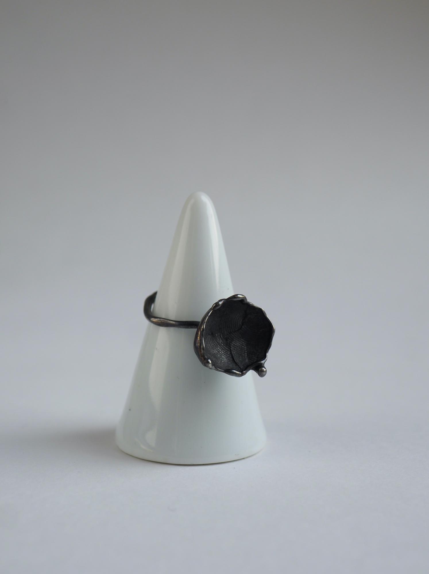 кольцо отпечаток