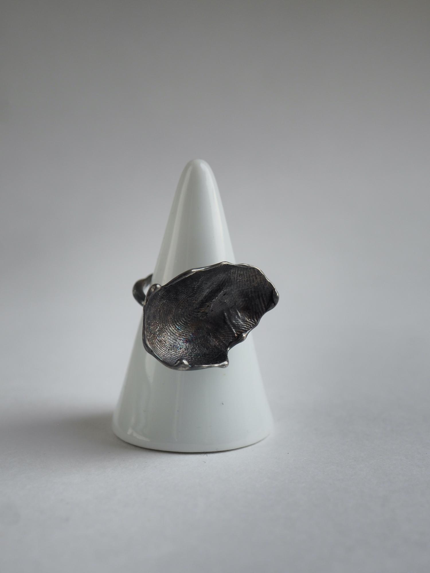 кольцо отпечаток