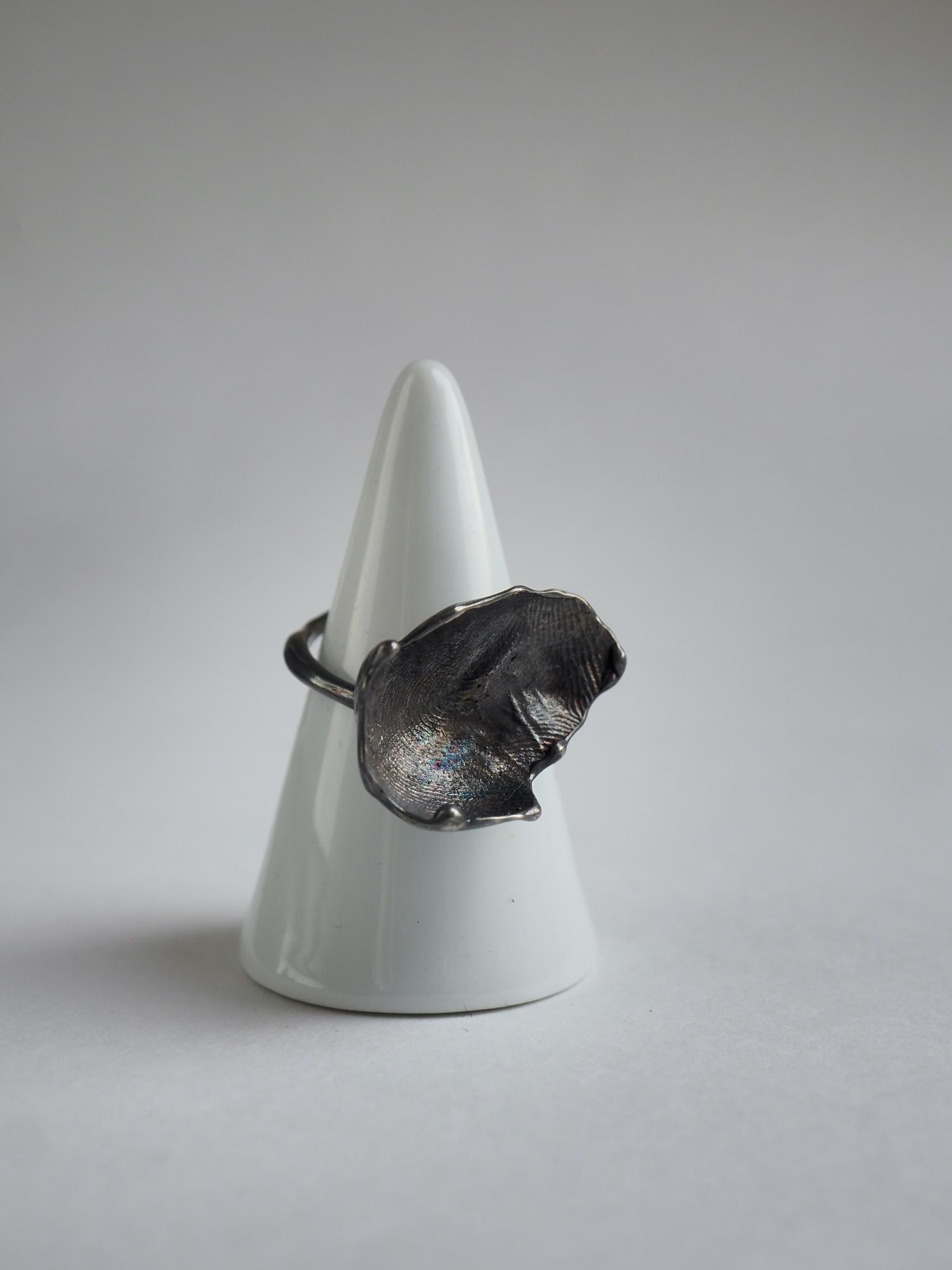 кольцо отпечаток