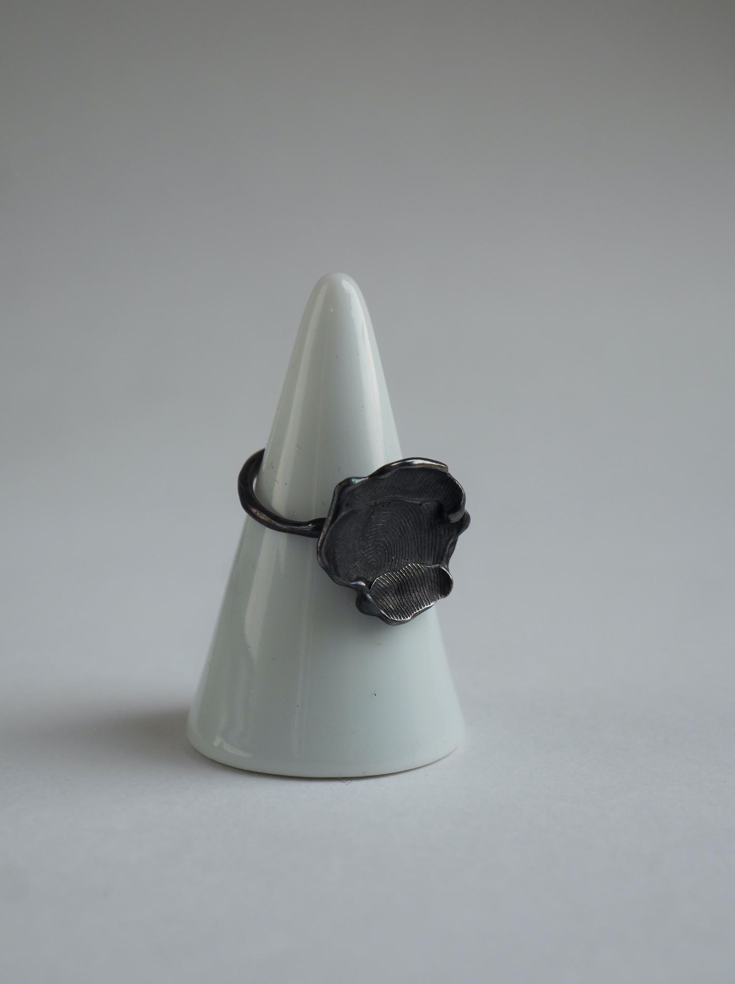 кольцо отпечаток