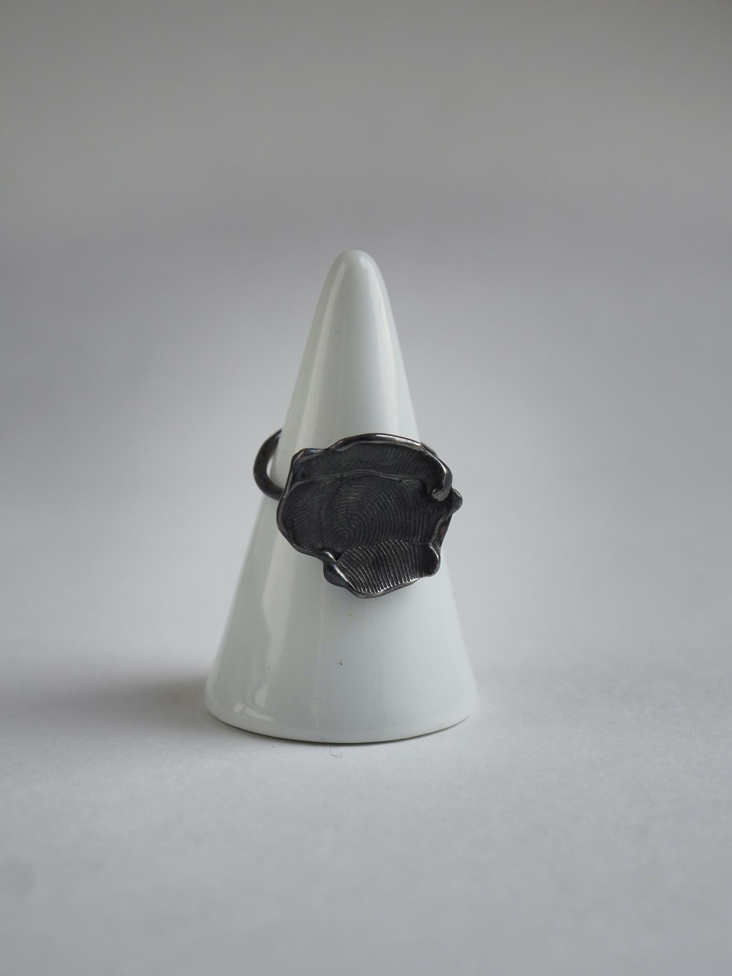 кольцо отпечаток