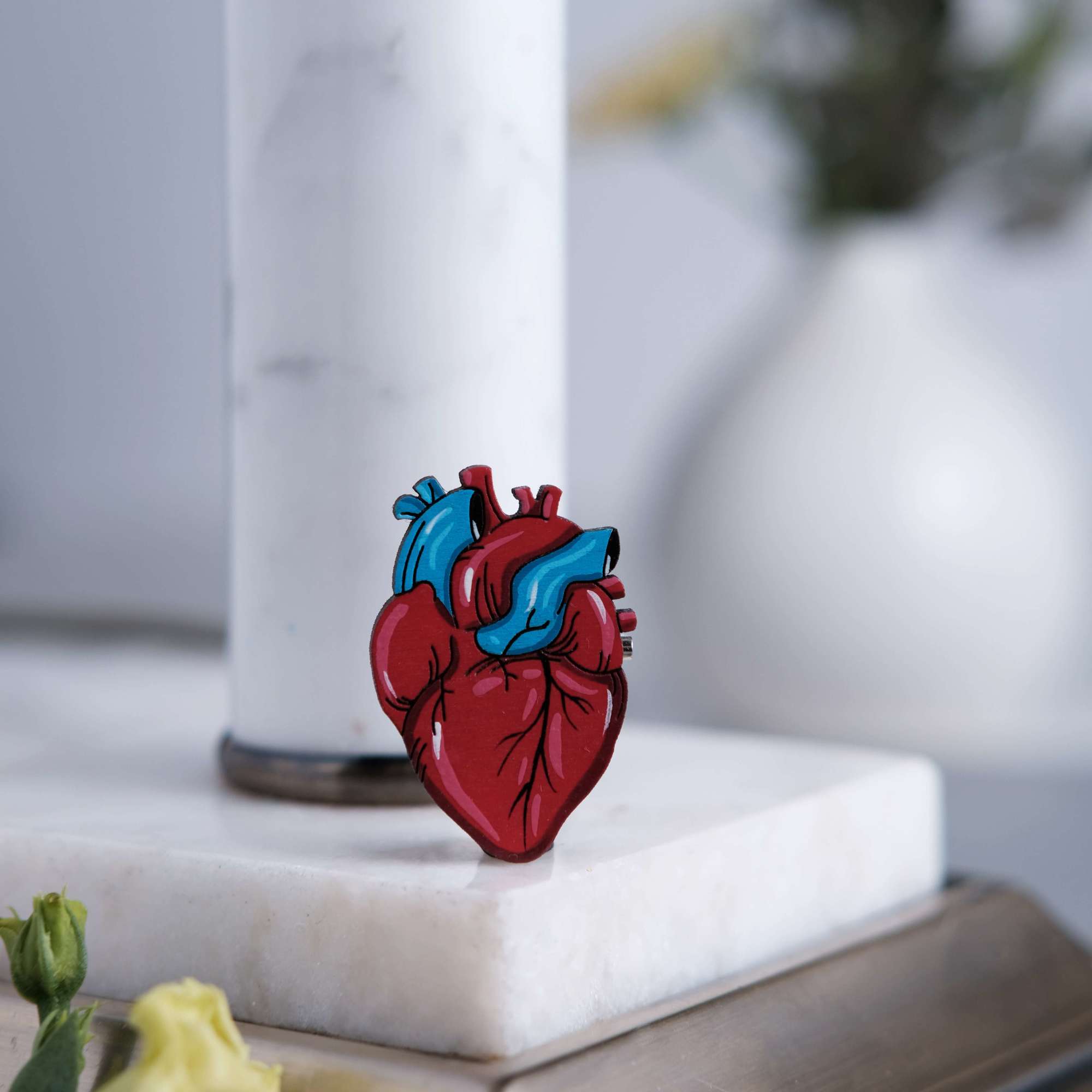 Брошь «Анатомическое сердце»