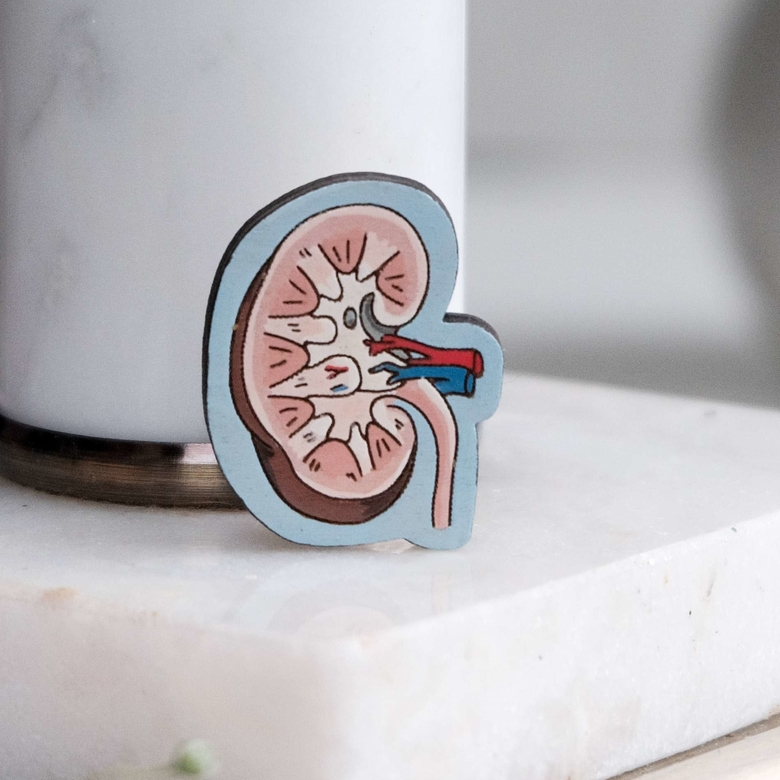 значок почки august wood