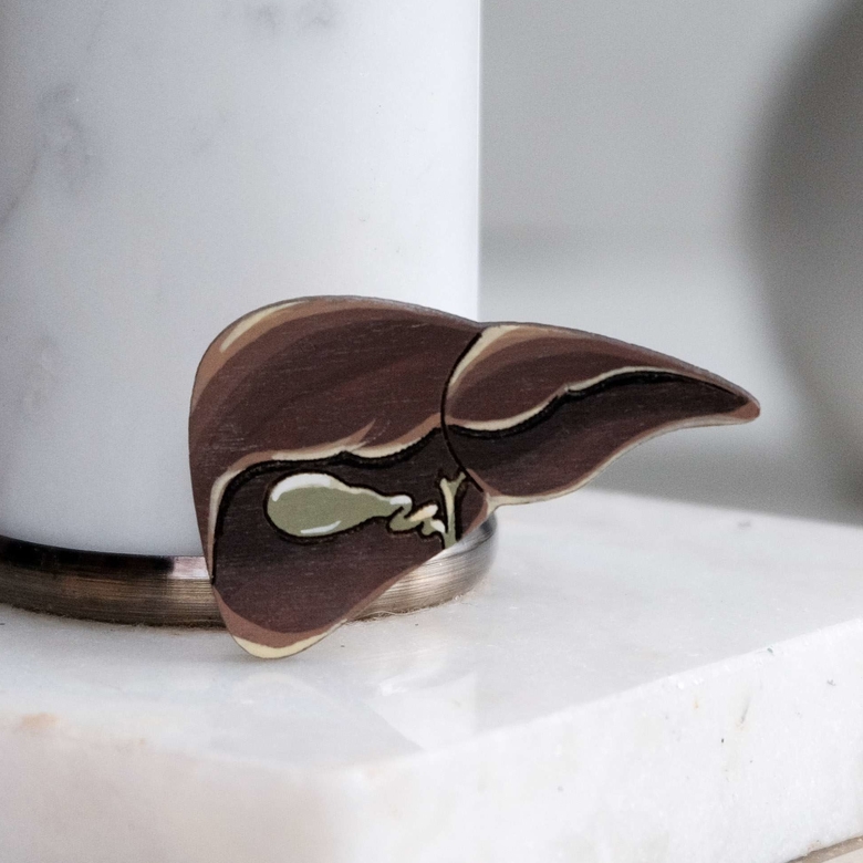 печень брошь из дерева для врача