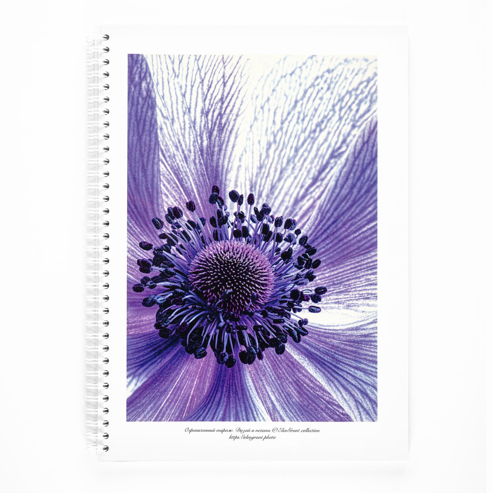 Блокнот "Фиолетовый цветок", А4, клетка, 80 листов