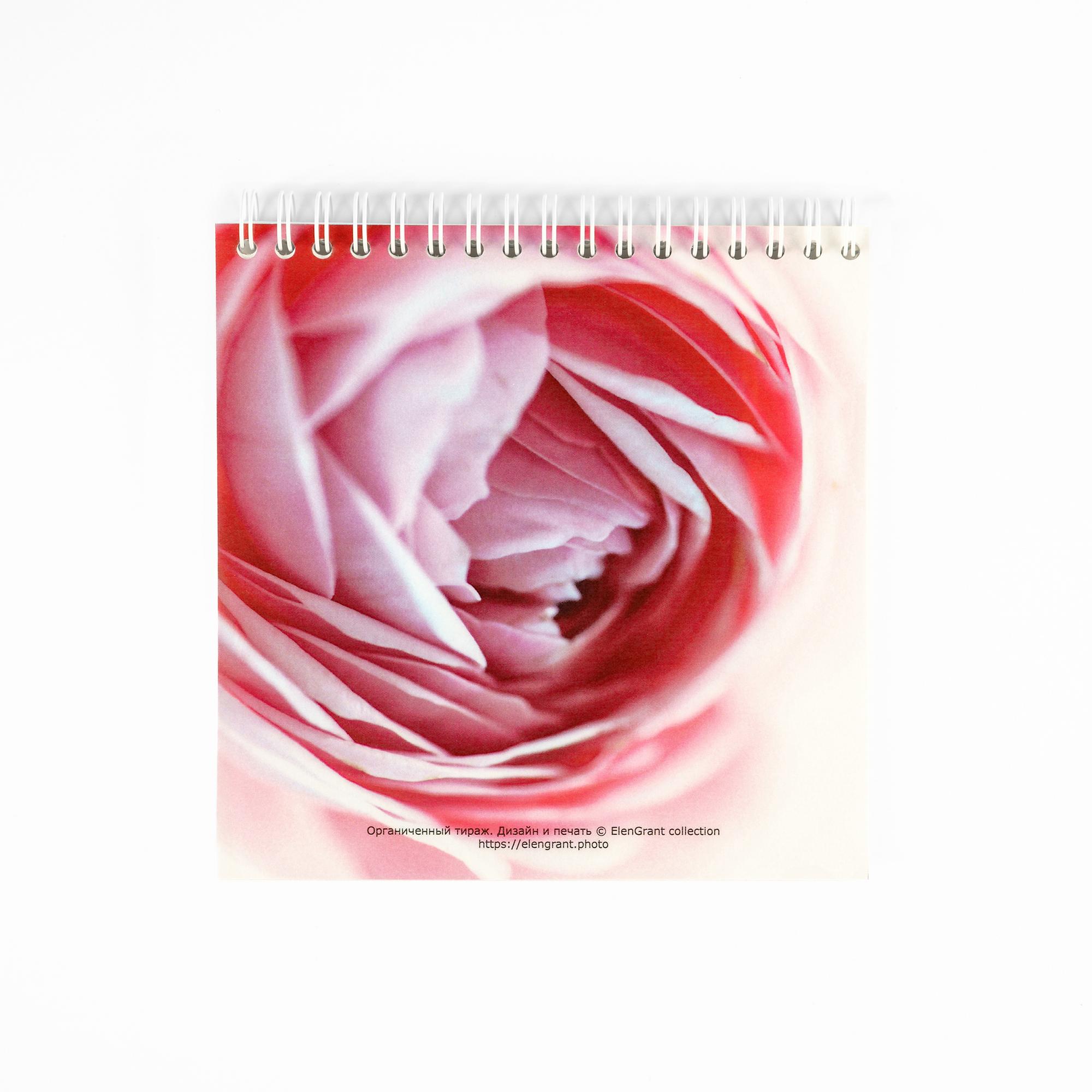 Блокнот  "Розовая роза", 15х15см, без разлиновки, 50 листов