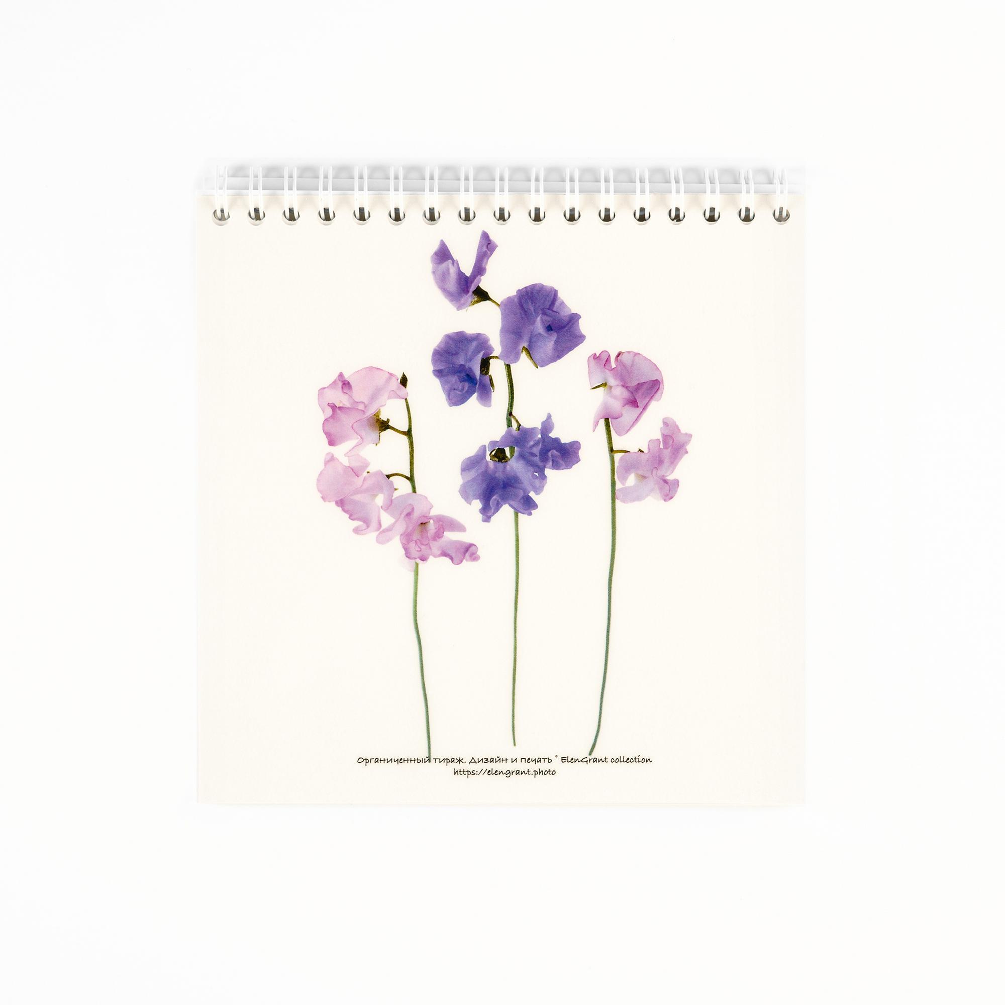 Блокнот "Душистый горошек", 15х15см, без разлиновки, 50 листов