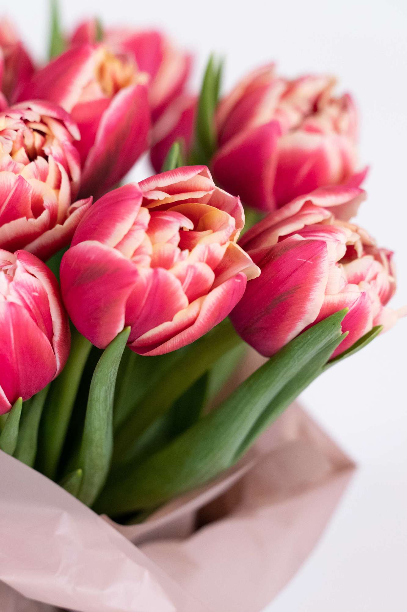 Коробка №16