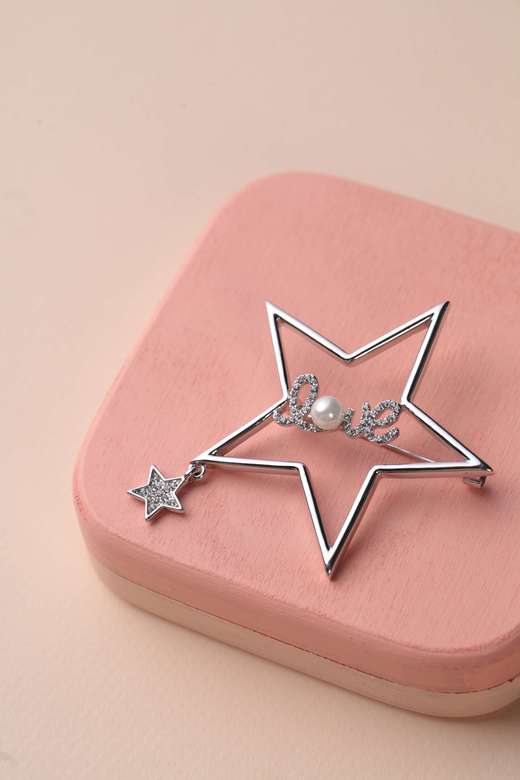 SABRINA SALIMBENI Брошь-звезда