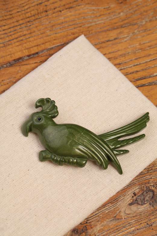 ANGELA CAPUTI Брошь-попугай из органического пластика