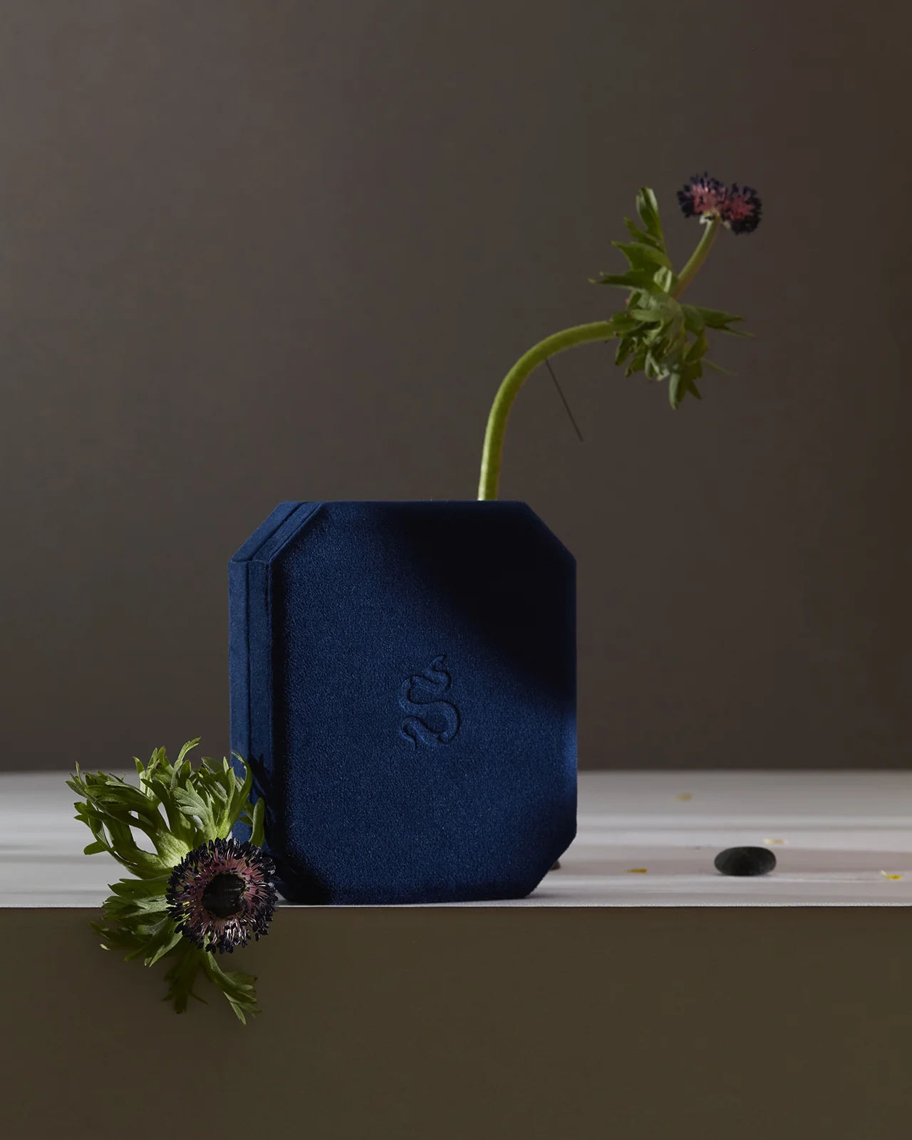 SITIS Шкатулка для украшений Midnight, mini