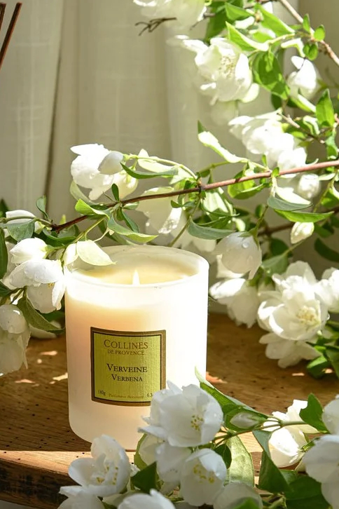 COLLINES DE PROVENCE Свеча ароматическая Verbena