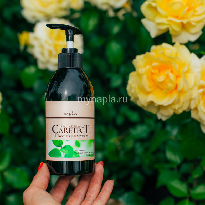 CARETECT HB Color V Shampoo