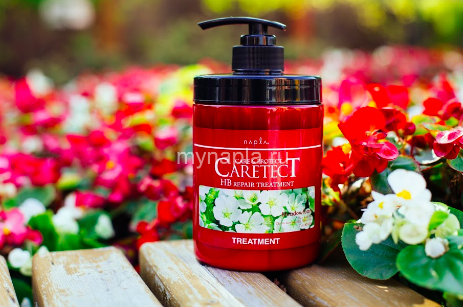 CARETECT HB Repair Treatment