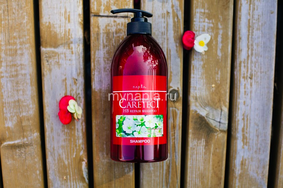 CARETECT HB Repair Shampoo