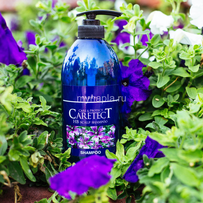 CARETECT HB Scalp Shampoo