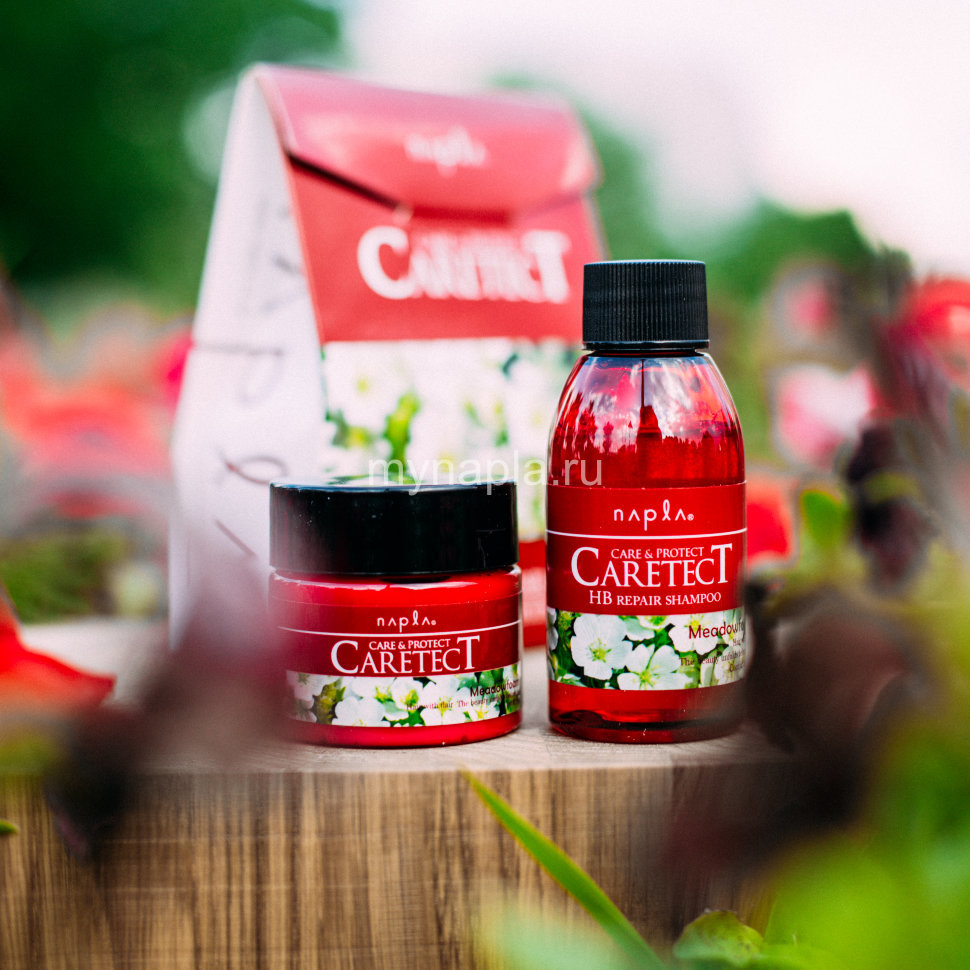 CARETECT HB Repair Набор