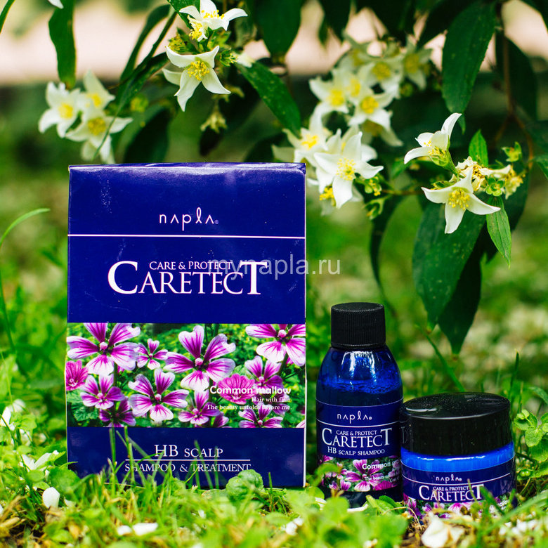 CARETECT HB Scalp Набор