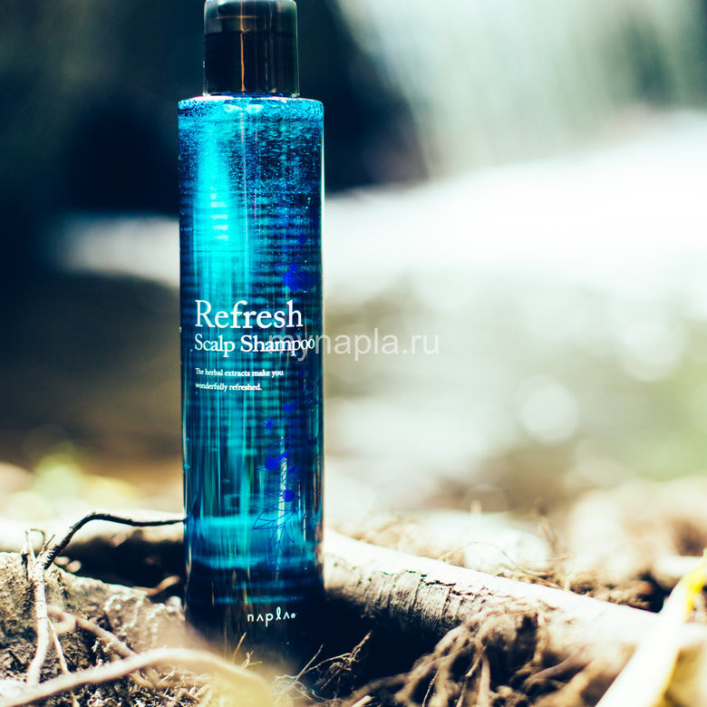 REFRESH SCALP Shampoo