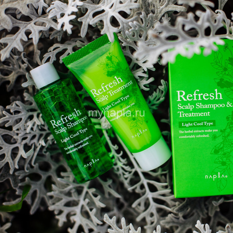 REFRESH SCALP Light Cool Type Набор