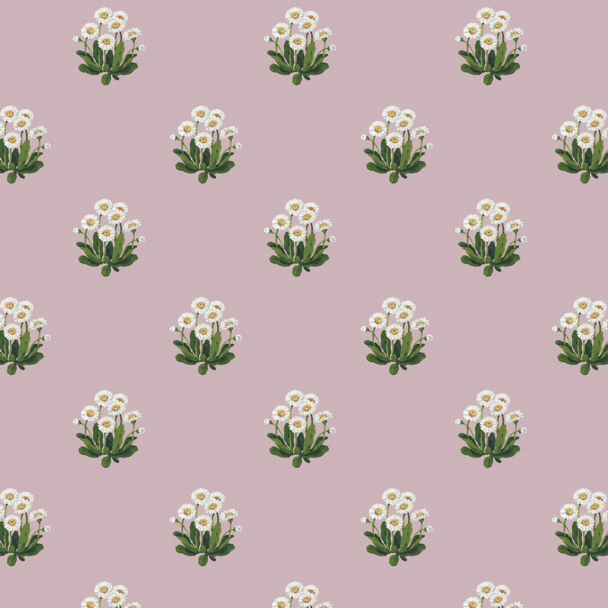 Упаковочная бумага "Ромашки"